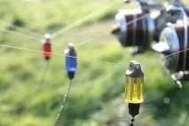Що потрібно знати про сигналізаторів клювання Блог Primanka знати