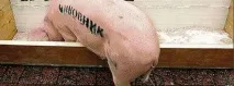 відбувається
