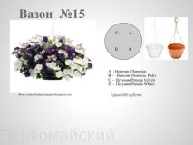 Квіткові композиції у горщиках рослини