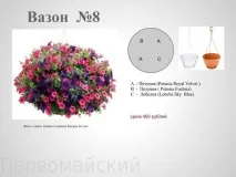 Квіткові композиції у горщиках квіткові