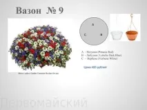Квіткові композиції у горщиках квіткові