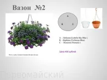 Квіткові композиції у горщиках квіткові