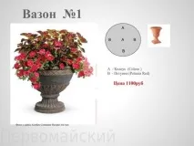 Квіткові композиції у горщиках горщиках