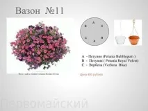 Квіткові композиції у горщиках квіткові