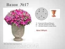 Квіткові композиції у горщиках композиції