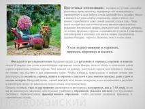 Квіткові композиції у горщиках композиції