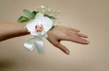флориста
