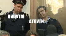 Давидич Свіже його