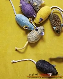 Робимо захоплюючі іграшки для кошенят своїми руками із підручних матеріалів захоплюючі