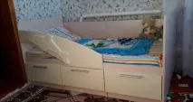 дельфін