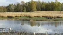 Визначні пам’ятки Франтішкових Лазні (19) фото та опис ятки