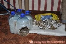 Будиночок для коте, Майстер-клас своїми руками коте