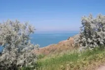 Будинок у п моря