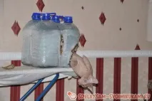 Будиночок для коте, Майстер-клас своїми руками будиночок