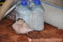 Будиночок для коте, Майстер-клас своїми руками коте