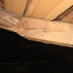 Експертиза будівель, Будівельна Експертиза будівельна