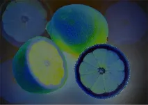 Ефект Боке для фотографії шару