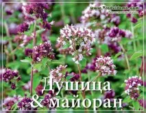 різницю