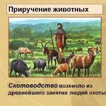 Давнє скотарство історичні факти давнє