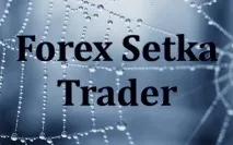 Forex Setka Trader Forex