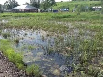 Фундамент на болоті своїми руками - фундамент на болотистих ґрунтах болотистих