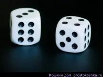Ворожіння на кубиках на долю, Кошкін будинок ворожіння