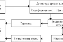 Глюкофаж Лонг 750 і 500 інструкція із застосування та відгуки інструкція