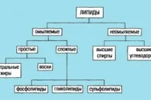 Глюкофаж Лонг 750 і 500 інструкція із застосування та відгуки відгуки