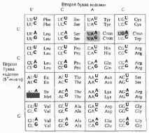 интересни