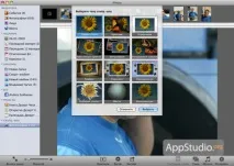 ilife