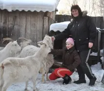 Іде коза рогата, бреде коза бодата, До нових рубежів рогата