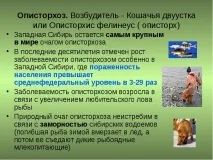 Чим небезпечний опісторхоз і як його лікувати розвитку
