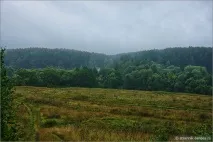 Іван Болотніков болотніков