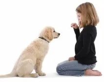 його
