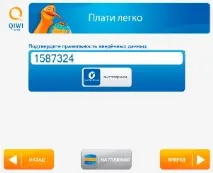 Як погасити позику через Qiwi Інструкція з оплати через Qiwi термінал інструкція