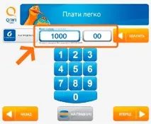 Як погасити позику через Qiwi Інструкція з оплати через Qiwi термінал інструкція