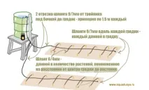 Як встановити автоматичний полив на городі, в саду встановити