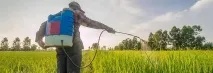 Як вибрати садовий обприскувач види та їх призначення вибрати