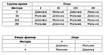 Як зачати хлопчика з овуляції, по оновленню крові, пози та народні прикмети овуляції