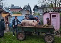 Як живуть циганські барони живуть