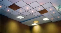 Касетні стелі в інтер’єрі житлових приміщень, Будинок Мрії житлових