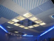 Касетні стелі в інтер’єрі житлових приміщень, Будинок Мрії стелі