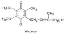 верига