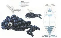 Кіти та касатки Тварини та птиці - Бісерок тварини
