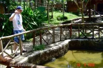 село