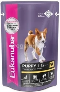Корми для собак Eukanuba в Липецьку - 1483 товарів Вигідні ціни липецьку