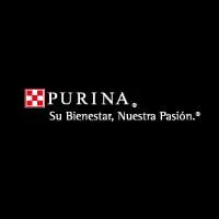 Корм для кішок Пуріна (Purina) - відгуки та опис кішок