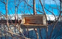 Годівниця для птахів своїми руками з поліна - Terraoko - світ твоїми очима птахів