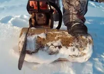 Годівниця для птахів своїми руками з поліна - Terraoko - світ твоїми очима годівниця