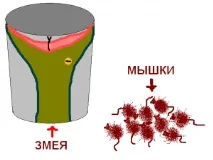 змията